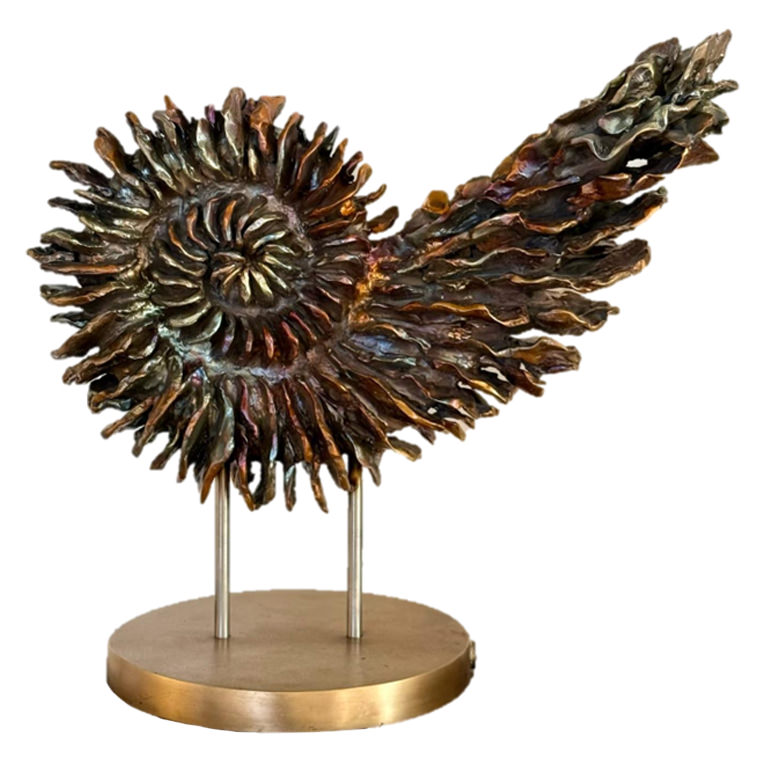 Claudia Hartmann rainbow nautilus m