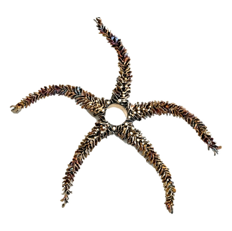 Claudia Hartmann sideris marina m